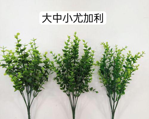 观赏植物有哪些种类？道具观赏植物包括哪些？