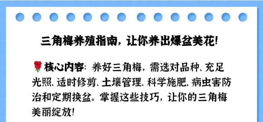 三角梅的优质养植方法是什么？