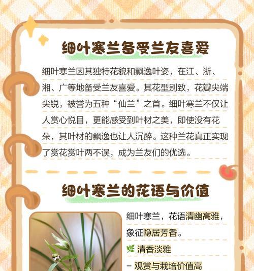 寒兰的日常浇水方法有哪些？如何正确为寒兰浇水？