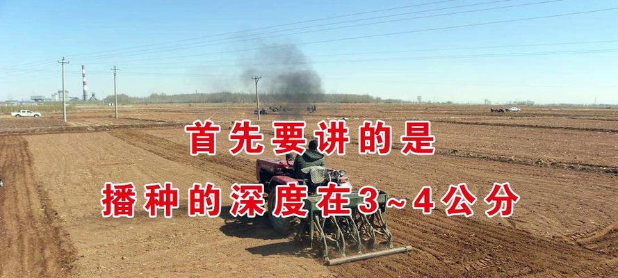 播种时应该讲些什么话？有哪些传统说法？