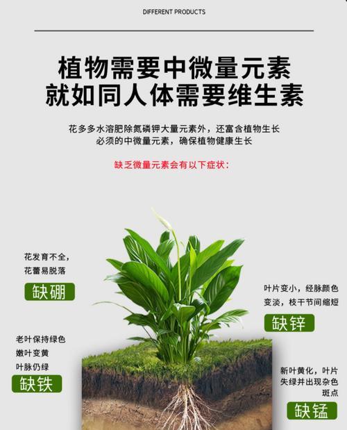 自制花根肥料的配方有哪些？