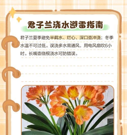君子兰点粉的正确方法是什么？