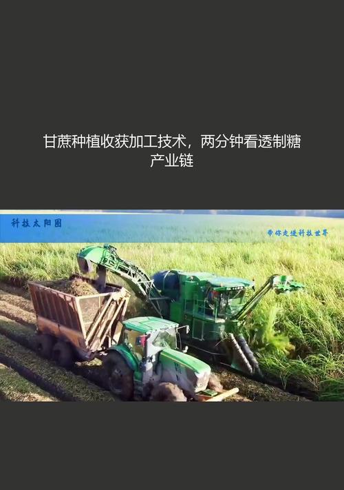 甘蔗现代栽培技术有哪些？如何提高甘蔗产量？