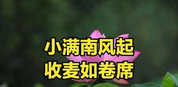 忘记播种的预兆是什么？如何及时发现并补救？