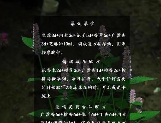 广藿香叶子发黄可能是哪些原因造成的？