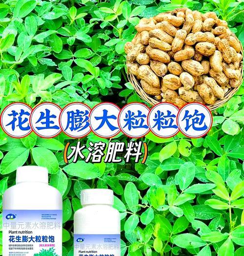 自制肥料快速陈化的秘诀是什么？