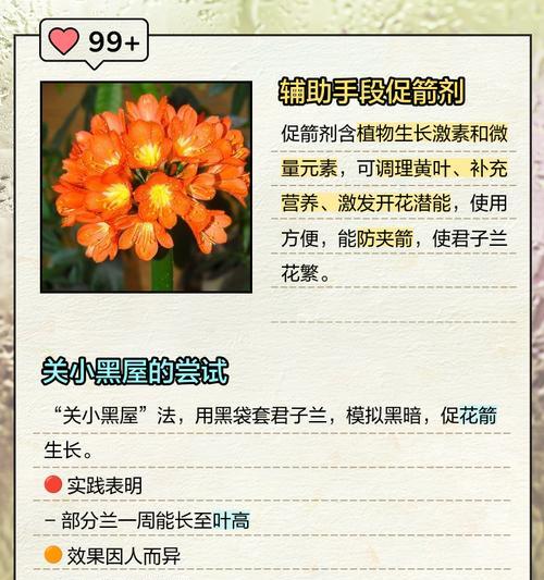 君子兰长了很多怎么处理？君子兰繁殖过度的解决方法是什么？