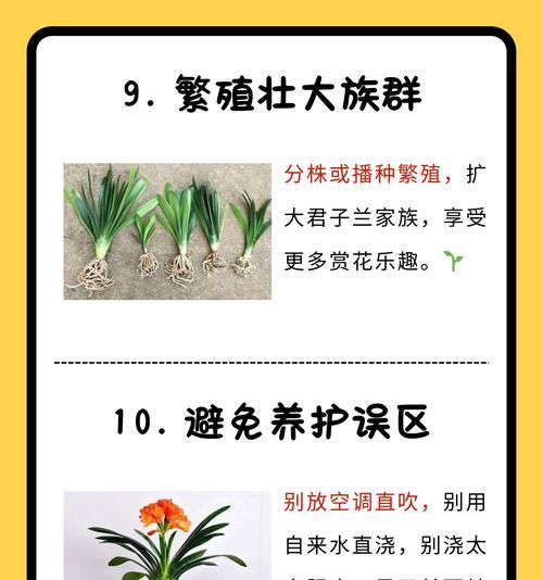 君子兰催苗的有效方法有哪些？