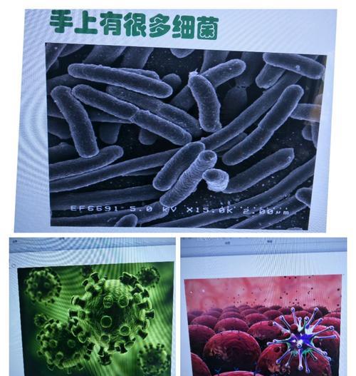 天竺葵疏枝疏叶的方法是什么？如何正确进行？