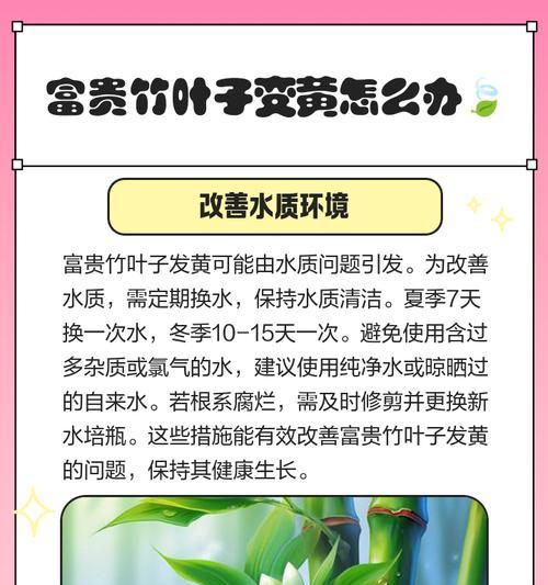 矮豆叶子变黄原因？如何解决叶子发黄问题？