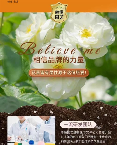 泥炭土如何配制适合月季的土壤？如何使月季生长得更美观？