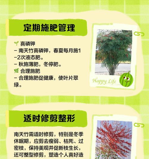 南天竹叶子发黄枯萎的处理方法是什么？