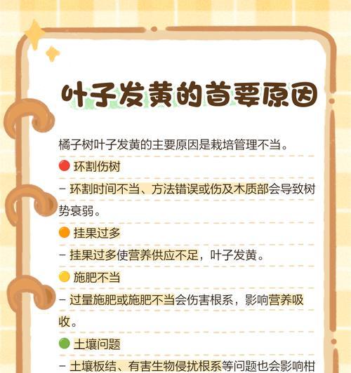 棋楠树叶子发黄是什么原因？如何解决？