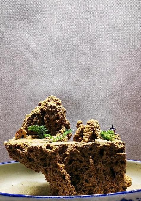 石片种植盆景的步骤是什么？