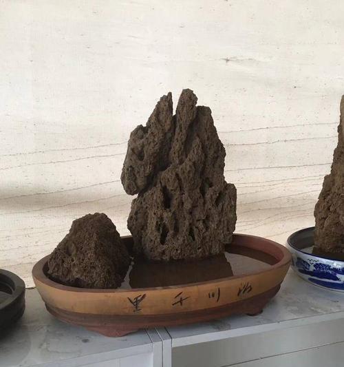 石片种植盆景的步骤是什么？