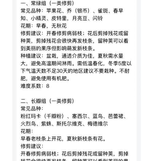 铁线莲牵引枝条的养护方法是什么？有哪些技巧？
