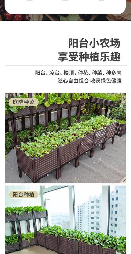 月季落叶剂的正确使用方法是什么？