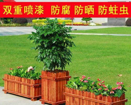 月季落叶剂的正确使用方法是什么？