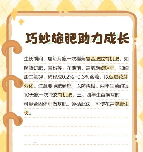 君子兰果子怎么培养的？培养过程是怎样的？