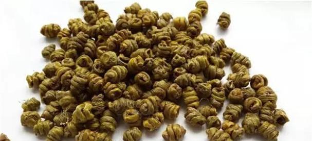 正宗君子兰紫花的特点是什么？如何鉴别？