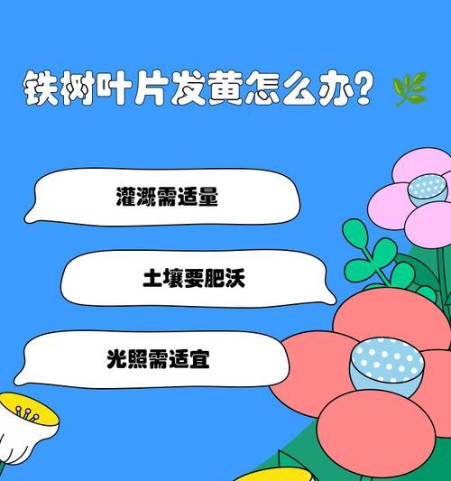 铁树不发新芽叶子发黄的解决方法是什么？