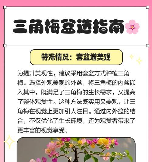 三角梅换盆步骤及注意事项是什么？