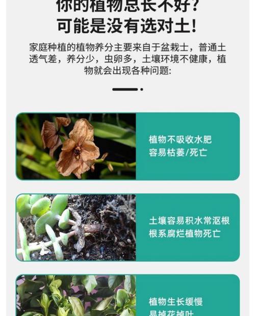 自制花土肥料的方法和好处有哪些？