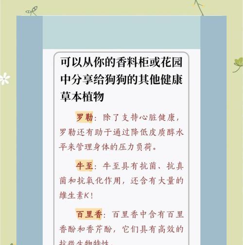 香味植物香草有哪些特点？如何选择和栽培？