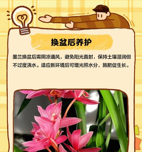 花卉繁殖后换盆的最佳时机是什么时候？