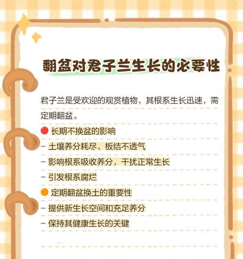 种植君子兰应该选择什么样的盆器？不同盆器对君子兰生长有何影响？