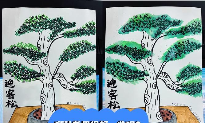 迎客松针叶发黄掉叶子如何处理？可能的原因是什么？