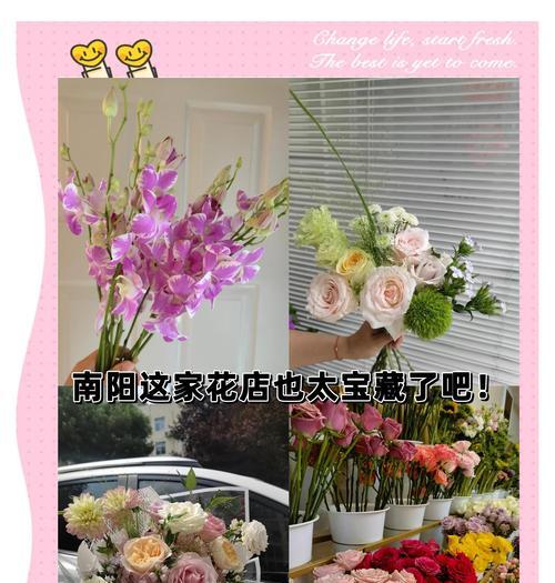 南阳台最适合种植哪些类型的花卉？