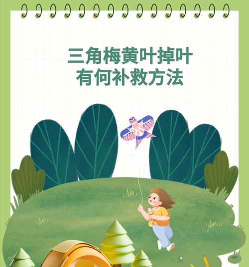 三角梅调酸补铁剂使用方法是什么？