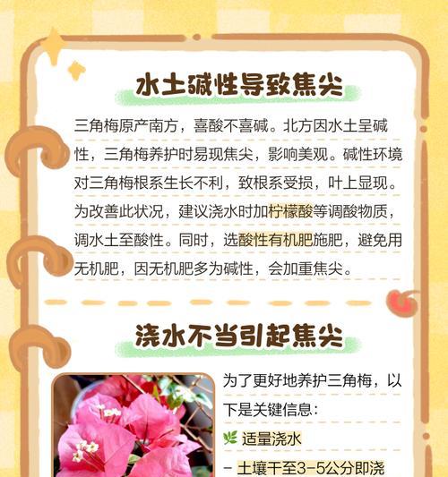 三角梅调酸补铁剂使用方法是什么？