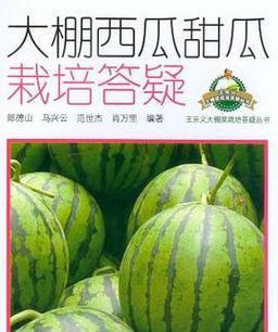 甜瓜双头栽培的关键技术是什么？