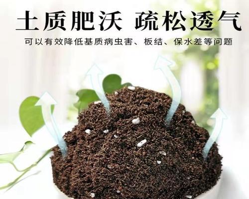 自制黑泥土肥料的方法和步骤是什么？