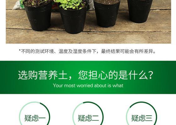 自制黑泥土肥料的方法和步骤是什么？
