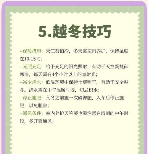 无性系花叶天竺葵的养护方法？