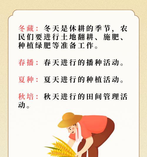 播种时应掌握哪些施肥技巧？