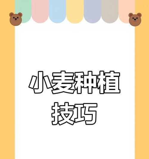 播种时应掌握哪些施肥技巧？