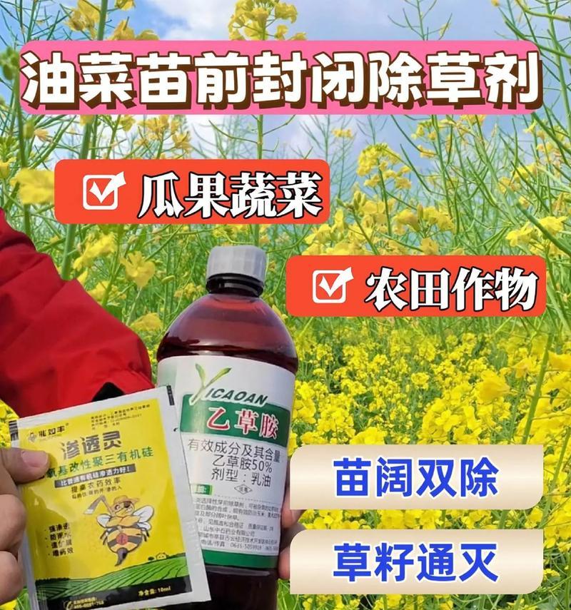 播种时应掌握哪些施肥技巧？