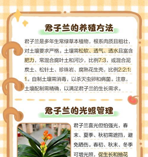 君子兰养护技巧怎么换盆？换盆的最佳时机和步骤是什么？