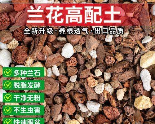 君子兰用陶粒种植的方法是什么？如何操作？
