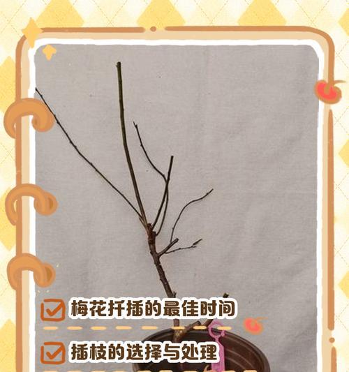 生根栽培技术有哪些内容？掌握这些技巧，让你的植物生根更快！