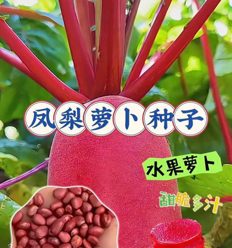 西瓜凤梨栽培技术要点有哪些？西瓜凤梨的种植技巧是什么？