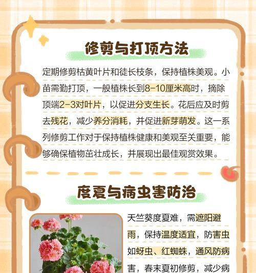 天竺葵如何养护才能多开花？