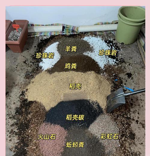 土朱顶红不爆崽的原因有哪些？