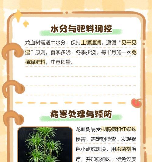 龙骨叶子发黄怎么解决？有什么方法？