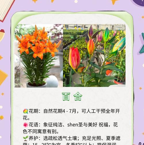 球根植物春季如何正确养护和浇水？