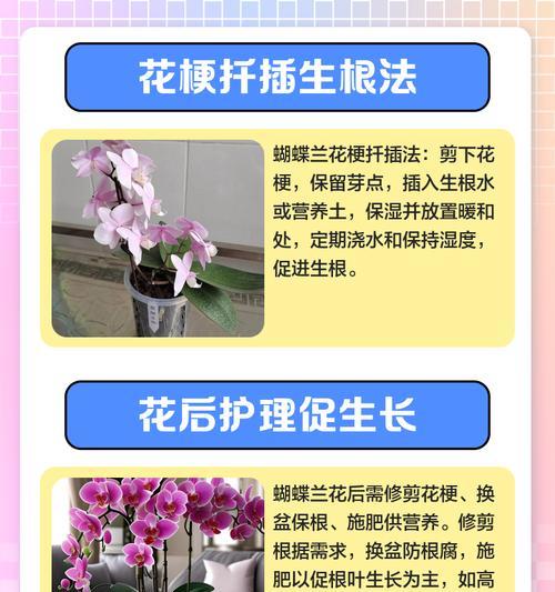 花卉剪枝后多久能生根繁殖？